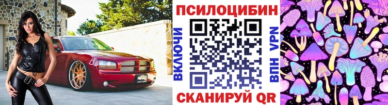 Купить  Дно  Псилоцибиновые грибы Magic Shrooms 
